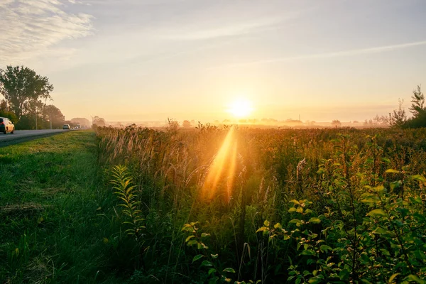 Picturesque sunrise over a green field near the road. High quality photo