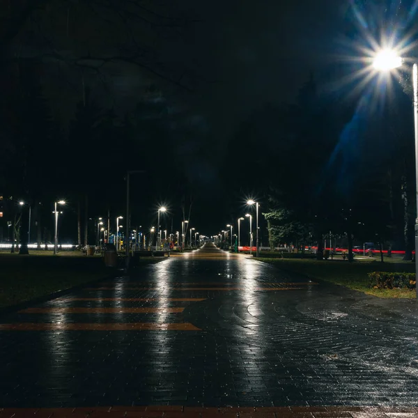 Wet Night Avenue Vinnitsa High Quality Photo — Stock Photo, Image