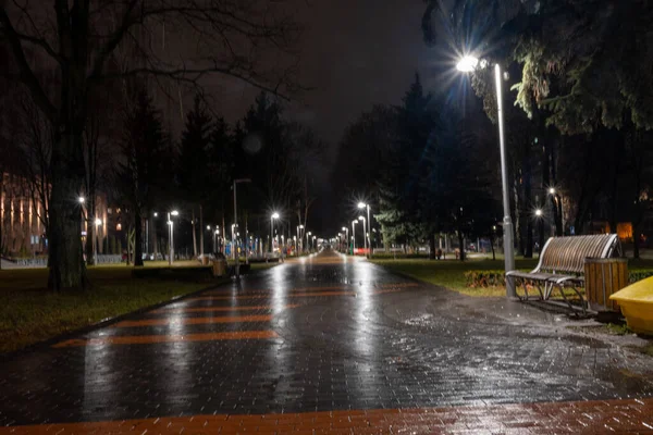 Wet Night Avenue Vinnitsa High Quality Photo — Stock Photo, Image