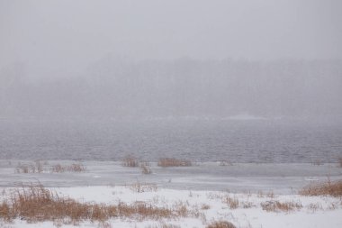 Karlı arazinin manzarası. Yapraksız çalılar, kar fırtınasında gri gökyüzünün altında dağa karşı.