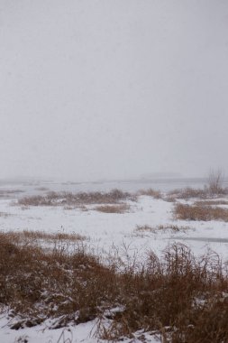 Kar fırtınası sırasında nehir kıyısında kış manzarası. Bir fırtına sırasında bir kış manzarasının dikey fotoğrafı.