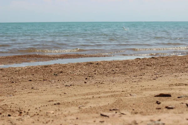 Deniz dalgaları ve mavi gökyüzü olan kumsal