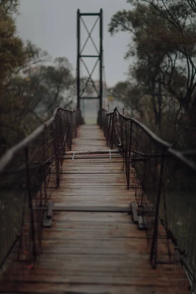 Vertical Shot Old Wooden Bridge — 스톡 사진