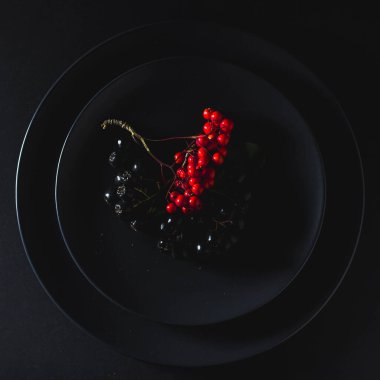 Siyah arkaplan fotoğrafında siyah plakalı kırmızı ve siyah boğuk dut sıraları..