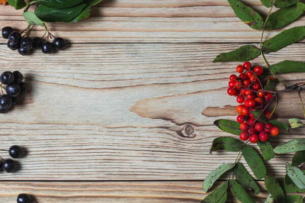 Wooden board with rowan and chokeberry. Place for text 
