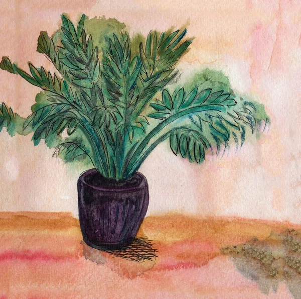 Zelená Palma Černém Květináči Rostlina Dřevěné Podlaze Ručně Kreslený Akvarel — Stock fotografie
