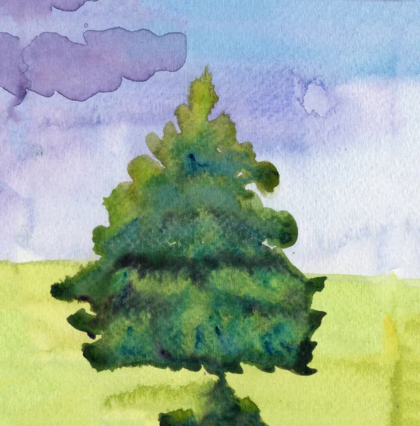 Panoramic Landscape Evergreen Spruce Tree Blue Cloudy Sky Green Grass — Zdjęcie stockowe