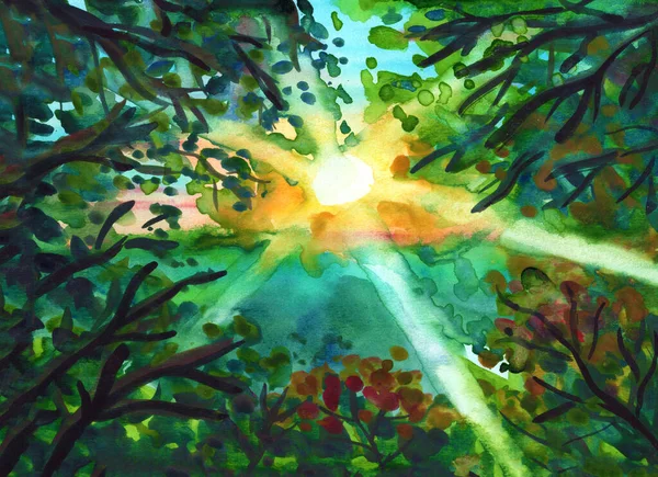 太陽が沈むと緑の木の枝のパノラマの風景 黄色い太陽の光 青い空だ 野生の森 手描きの水彩画のボーリカルスケッチ 夏か春 自然と生態学 ポストカード用テンプレート — ストック写真