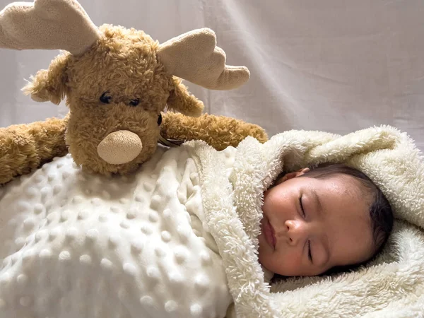 Sweet Peaceful Baby Lying White Bedsheet Enjoy Daytime Nap Imagem De Stock