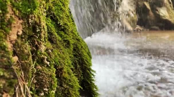国家公园中央瀑布的特写镜头 — 图库视频影像