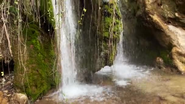 森林中美丽的瀑布 — 图库视频影像