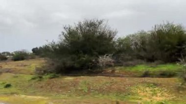 Otobanda araba penceresi görüntüsü hızlanıyor
