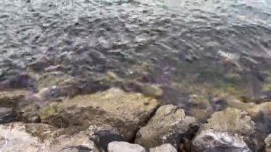 Deniz üzerinde güzel bir gün doğumu yansıması