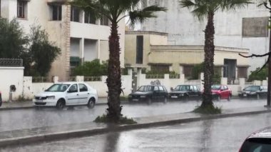 Fırtınalı bir günde araba sürüyor