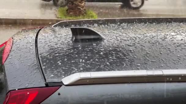 Close Footage Heavy Hail Storm Falling Black Car Roof — Video