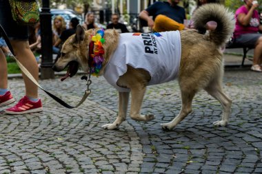 People marching for equal rights for LGBTQ+ community with rainbow flags in Europe