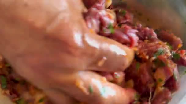 Woman Hand Mixing Red Meat Pieces Spices Barbecue — Vídeo de Stock