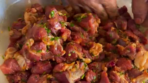 Woman Hand Mixing Red Meat Pieces Spices Barbecue — Stockvideo