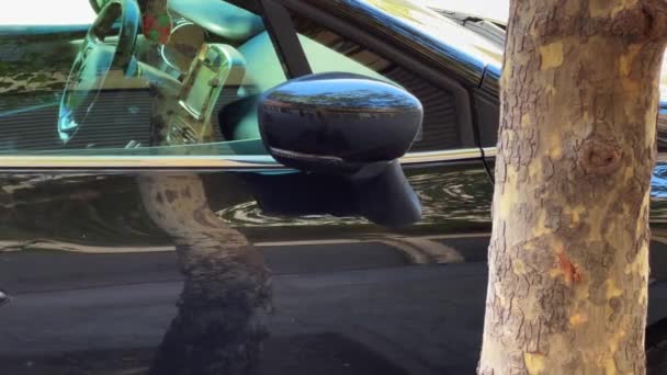 Car Side Mirror Hazard Light Blinking — Stock Video