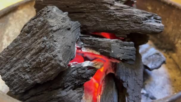 Trozos Carbón Frescos Ardiendo Una Parrilla Carbón — Vídeo de stock