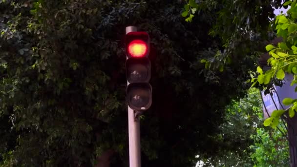 Red Traffic Signal Switches Green — стоковое видео