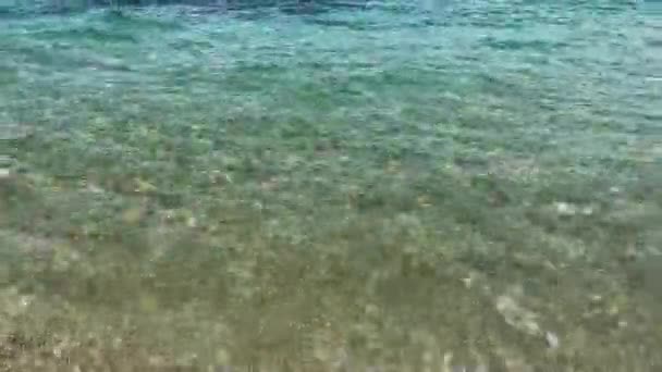 Transparent Sea Water Shoreline — Stock Video