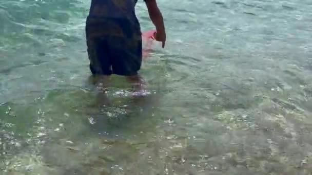 Boy Trying Catch Some Jellyfish Seaside — Video