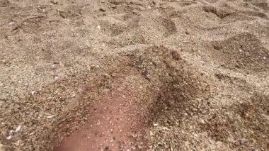 Closeup of male foot playing with the sand on the beach
