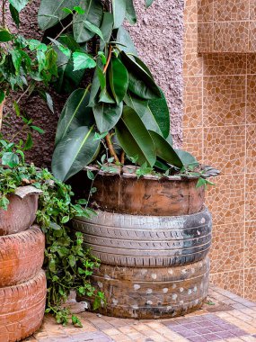 Green plants potted on a stack of car tires on the street