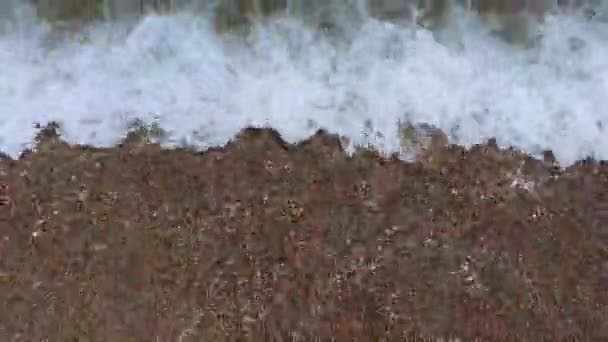 Transparent Sea Water Shoreline — Stockvideo