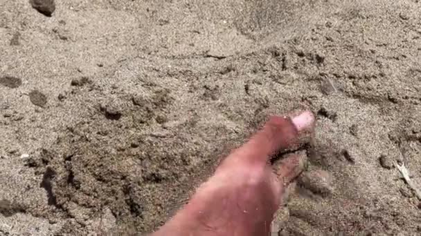 Closeup Male Feet Covered Sand Beach — Stok Video