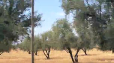 Araba penceresi görünümü yol kenarında hızlanıyor