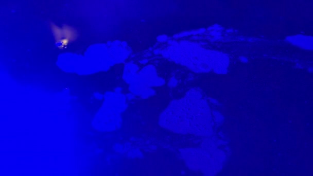 Κοντινό Πλάνο Φωτισμένης Πισίνας Νύχτα — Αρχείο Βίντεο