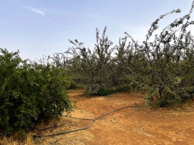 Kırsal kesimdeki arazinin kötü manzarası