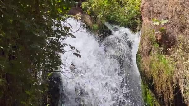 森林中的天然山体瀑布 — 图库视频影像