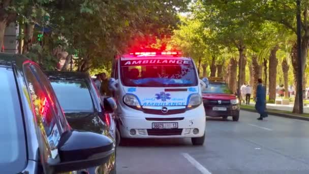 Van Ambulância Estacionada Beira Estrada Com Luzes Emergência Piscando — Vídeo de Stock
