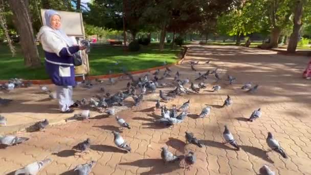 Woman Feeding Pigeons Public Square — Stock Video