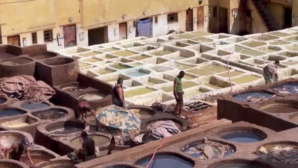 Hommes Travaillant Tannerie Chouara Dans Vieille Ville Fès — Video