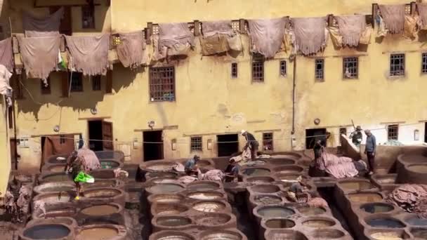 Мужчины Работающие Кожевенном Заводе Чуары Старом Городе Фес — стоковое видео