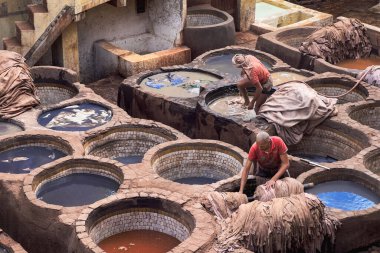 Eski şehir Fez 'deki Chouara tabakhanesinde çalışan adamlar.