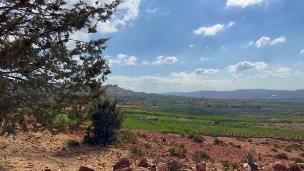 Vue Panoramique Sur Les Champs Agricoles — Video