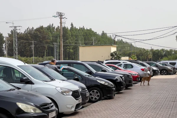 Arabalar Fas 'ta bir otoparka park edilmiş.