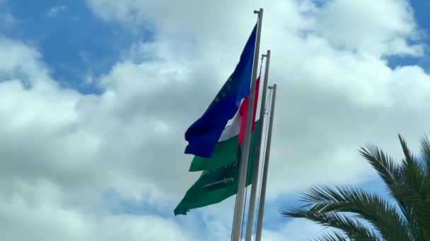 Bandeira União Europeia Agitando Lado Bandeira Palestina Arábia Saudita — Vídeo de Stock
