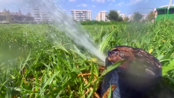 Automatyczny Zraszacz Wody Podlewający Zielony Ogród — Wideo stockowe