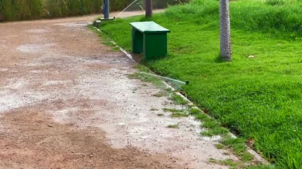 Aspersor Automático Agua Que Riega Jardín Verde — Vídeos de Stock