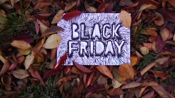 Art Illustration Black Friday Red Autumn Leaves — Stock Video