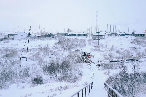 Kışın kırsal alanda, kardaki evlerin panoramik manzarası
