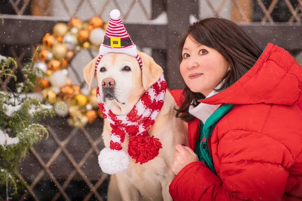 woman with golden labrador in scarf sits near decorated Christmas tree and sleigh during snowfall in winter in courtyard of a residential building.