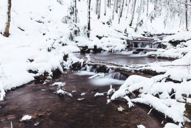 Güneşli bir kış gününde Dağ deresi Beskids, Polonya