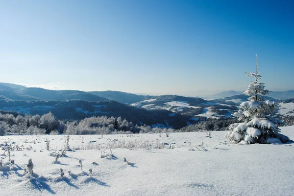 Inverno Paisagem Montanhosa Dia Ensolarado Com Céu Azul Beskids Polônia — Fotografia de Stock